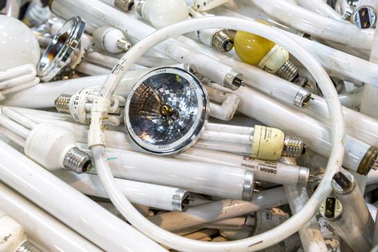 Bulbs | Recupel